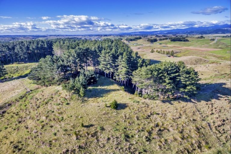 Photo of property in 101 Emma Drive, Manakau, 5573