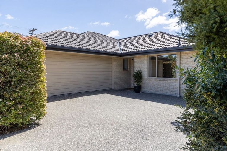 Photo of property in 72 Arthur Street, Blenheim, 7201