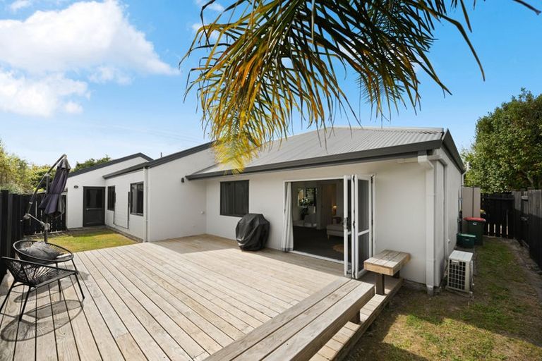 Photo of property in 19a Saint Winifreds Avenue, Hamilton East, Hamilton, 3216
