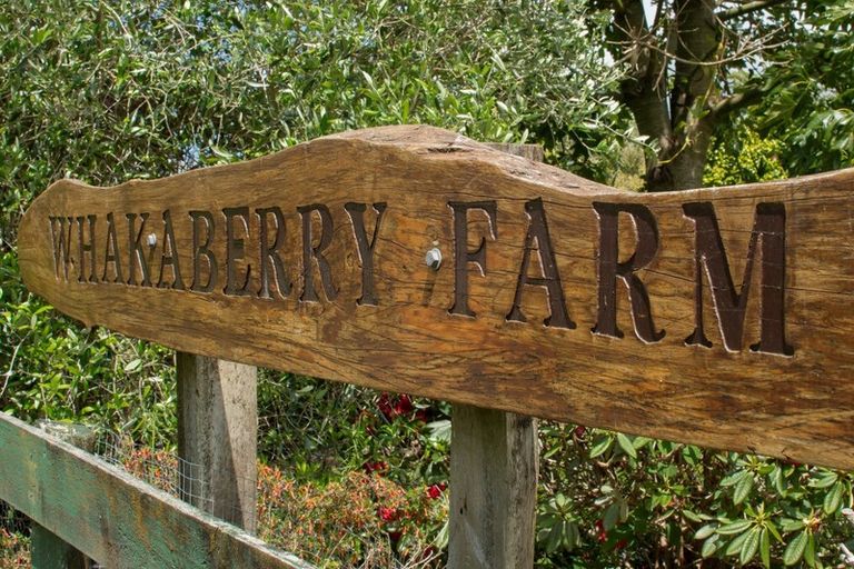 Photo of property in 297d Ross Road, Whakamarama, Tauranga, 3179