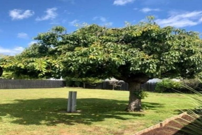 Photo of property in 7 Duke Street, Levin, 5510