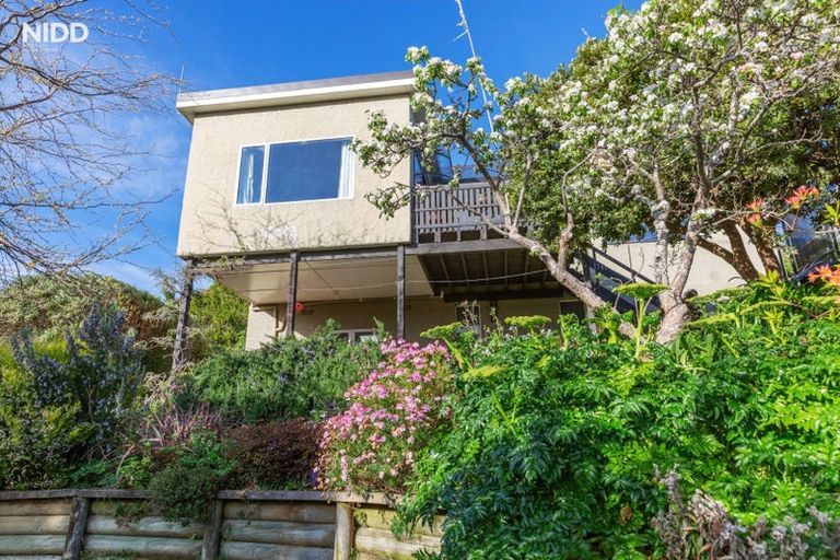 Photo of property in 45 Wilkinson Street, Liberton, Dunedin, 9010