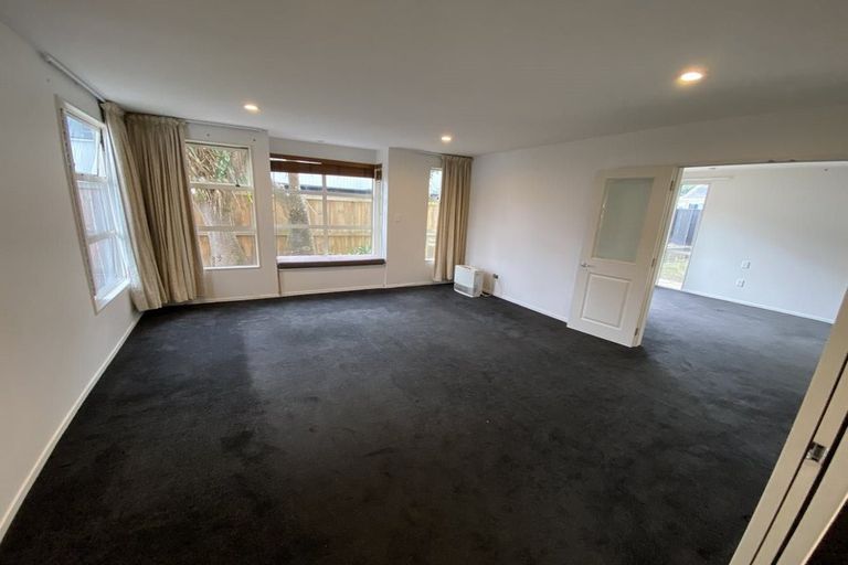 Photo of property in 6a Rosedale Avenue, Mount Eden, Auckland, 1024