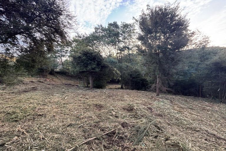 Photo of property in 40 Saddleview Place, Fairfield, Dunedin, 9076