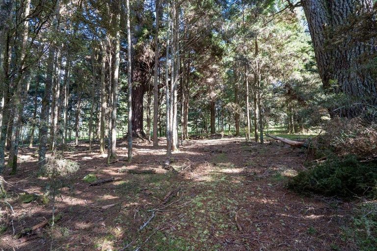 Photo of property in 46 Cookson Road, Kawakawa, 0282