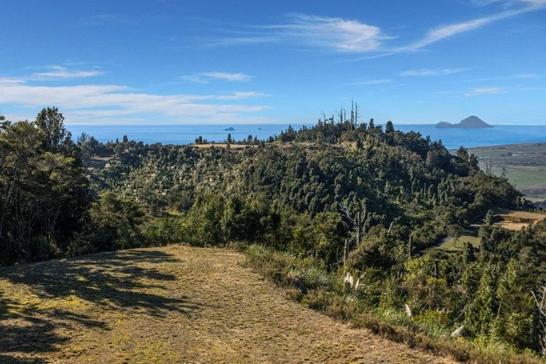 Photo of property in 147 Kokako Heights, Matata, 3194