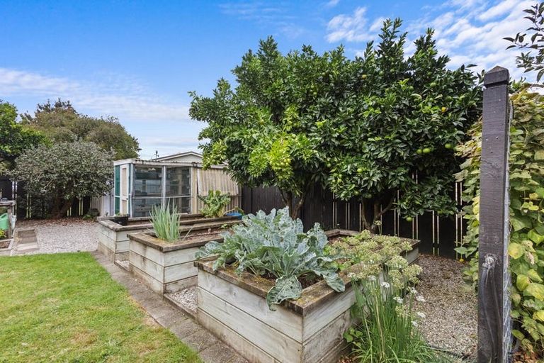 Photo of property in 11 Conrad Place, Leamington, Cambridge, 3432