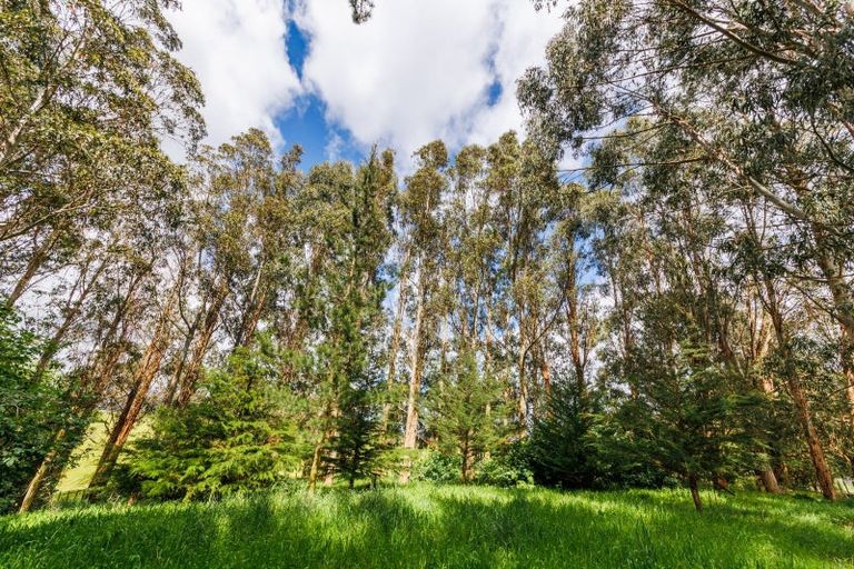 Photo of property in 721 Stoney Creek Road, Bunnythorpe, Palmerston North, 4470