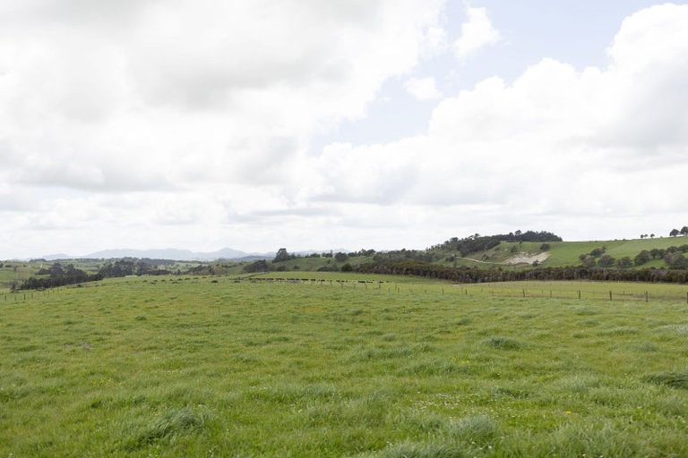 Photo of property in 139 Poyner Road, Ararua, Matakohe, 0594