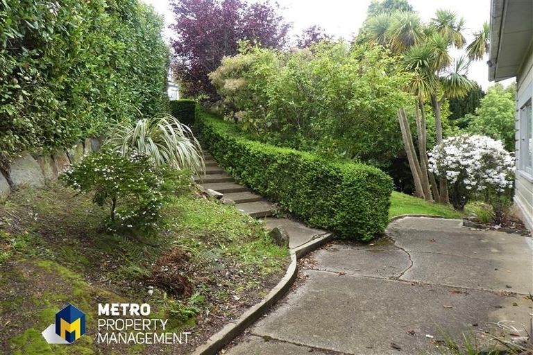 Photo of property in 10 Haig Street, Mornington, Dunedin, 9011