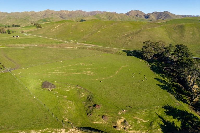 Photo of property in 453 Tetley Brook Road, Seddon, 7285