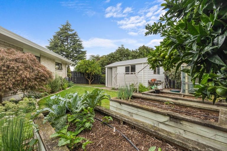 Photo of property in 11 Conrad Place, Leamington, Cambridge, 3432