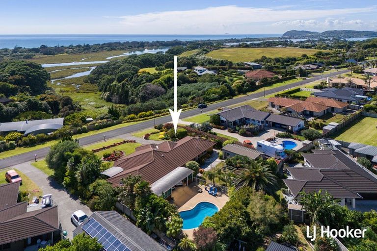 Photo of property in 127 Koutunui Road, Athenree, Katikati, 3177