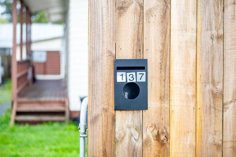 Photo of property in 137 Bankwood Road, Chartwell, Hamilton, 3210