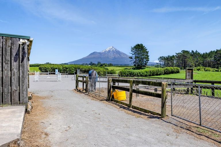 Photo of property in 1 Waingongoro Road, Cardiff, Stratford, 4391