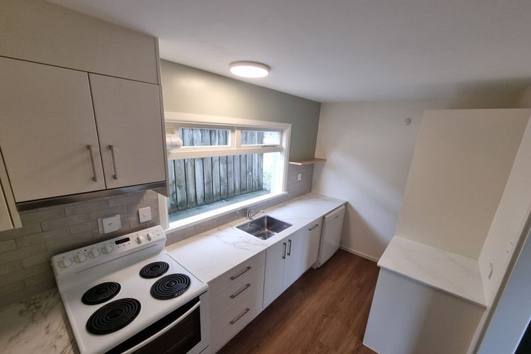 Photo of property in 1/117 Austin Street, Mount Victoria, Wellington, 6011