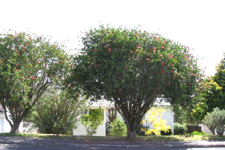 Photo of property in 5 Acacia Road, Torbay, Auckland, 0632