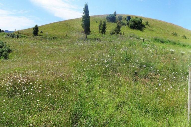 Photo of property in 4435 State Highway 31, Oparau, Te Awamutu, 3878