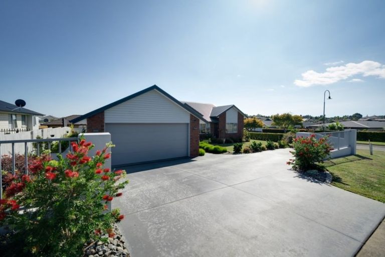Photo of property in 146 Rowesdale Drive, Ohauiti, Tauranga, 3112