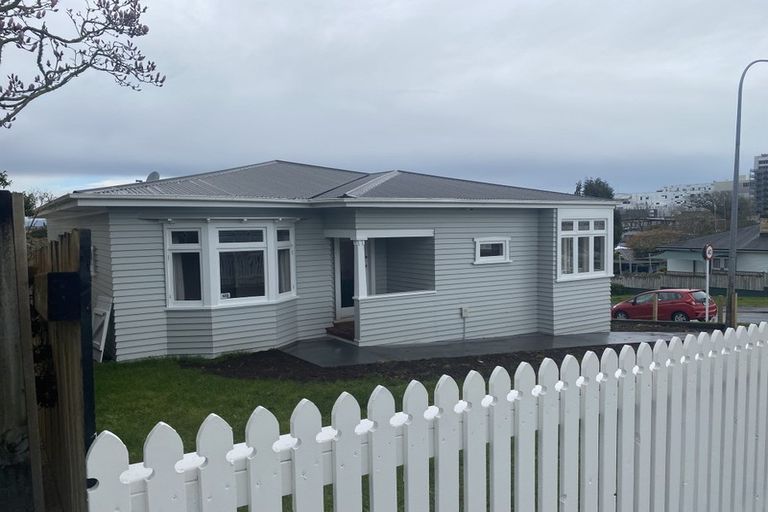 Photo of property in 113 Pembroke Street, Hamilton Lake, Hamilton, 3204