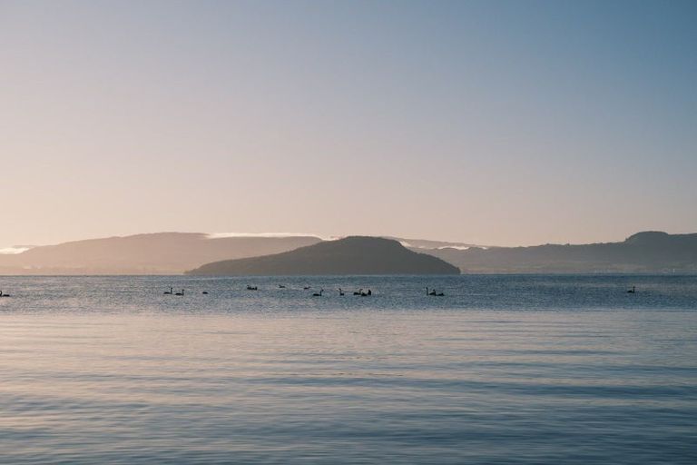 Photo of property in 77 Mokoia Road, Ngongotaha, Rotorua, 3097