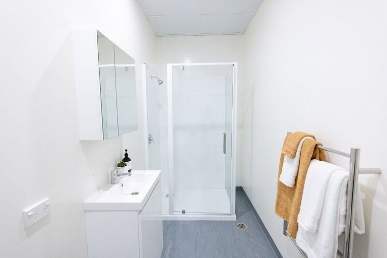 Photo of property in Te Kainga, 195 Willis Street, Te Aro, Wellington, 6011