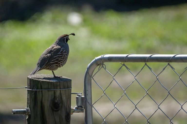 Photo of property in 333 Beacon Point Road, Wanaka, 9305