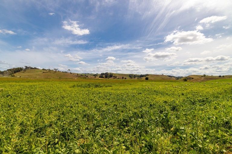 Photo of property in 376 Clark And Denize Road, Pukekawa, 2696