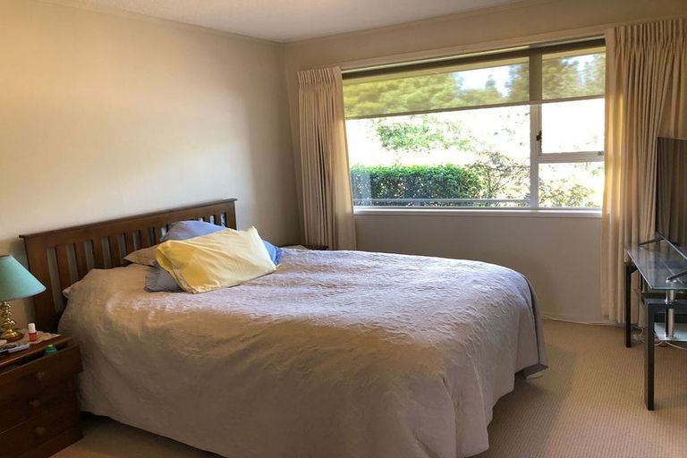 Photo of property in 25b Sillary Street, Hamilton East, Hamilton, 3216