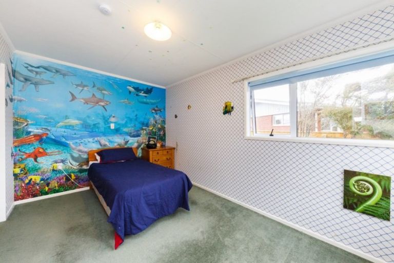 Photo of property in 45 Bamfield Street, Ashhurst, 4810