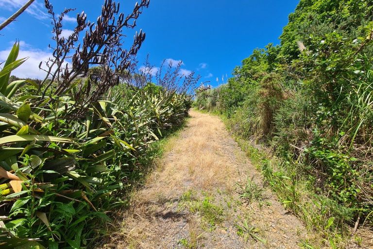 Photo of property in 1830 Colville Road, Amodeo Bay, Coromandel, 3584
