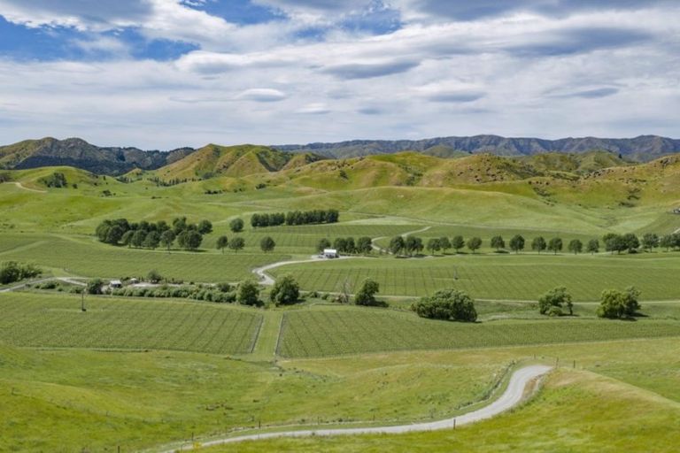 Photo of property in 270 Barracks Road, Hawkesbury, Blenheim, 7272