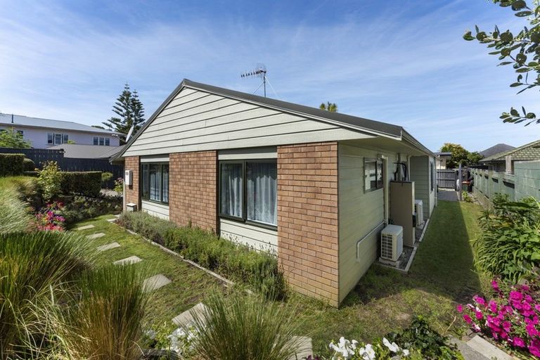 Photo of property in 602a Ferguson Street, Terrace End, Palmerston North, 4410