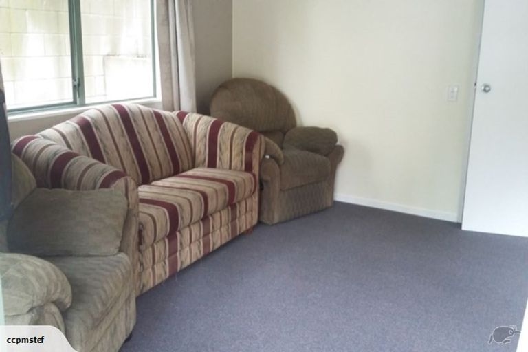 Photo of property in 63 Opoho Road, North East Valley, Dunedin, 9010