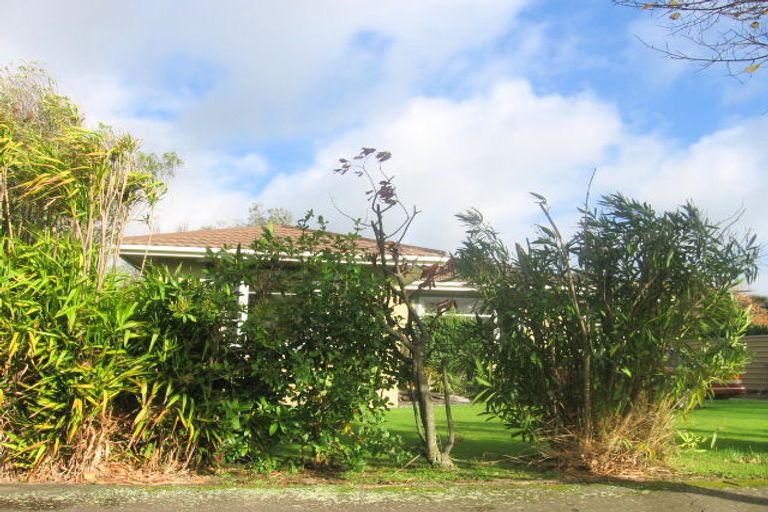 Photo of property in 38 Birmingham Street, Takaro, Palmerston North, 4412
