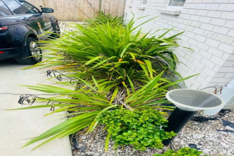 Photo of property in 33 Whautapu Court, Avondale, 1026