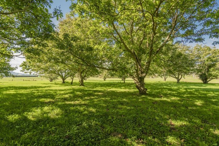 Photo of property in 79 Hot Water Beach Road, Purangi, Whitianga, 3591