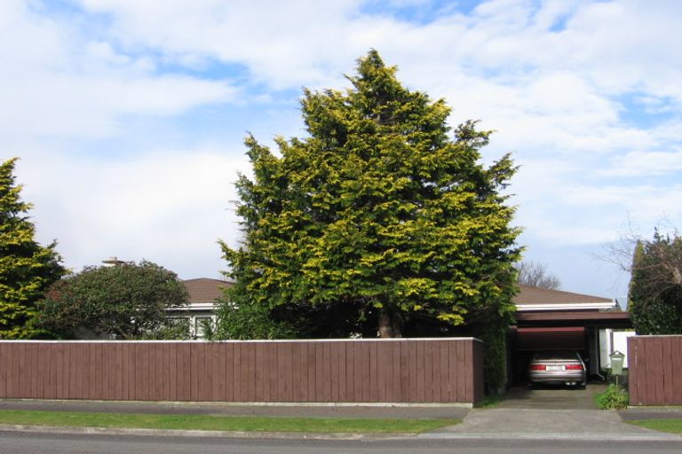 Photo of property in 8 Knowles Street, Terrace End, Palmerston North, 4410