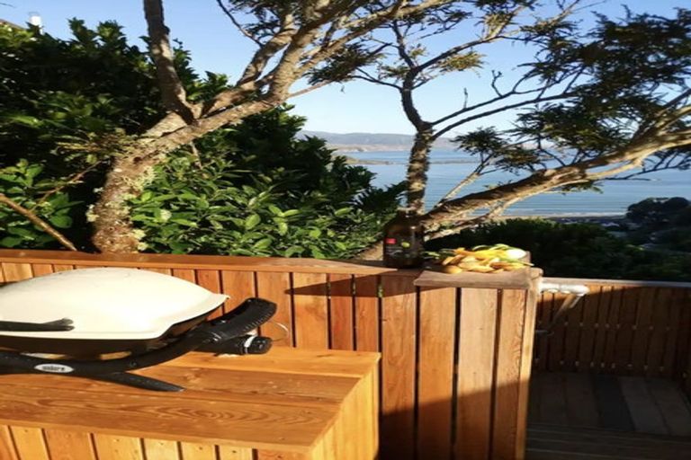 Photo of property in 49 Hornsey Road, Melrose, Wellington, 6023