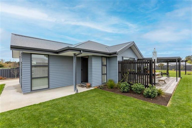 Photo of property in 20 Dee Street, Otane, 4202