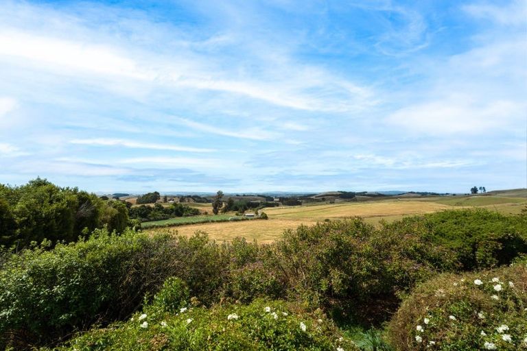 Photo of property in 125 Manning Road, Waitepeka, Balclutha, 9273