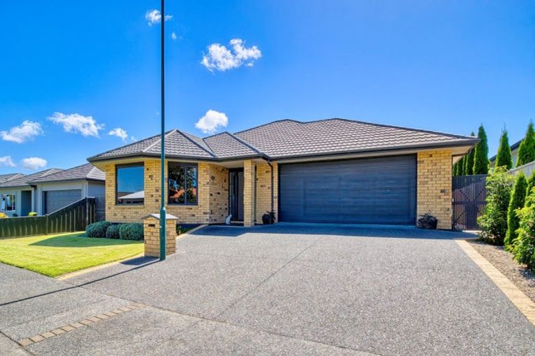 Photo of property in 31 Fairview Place, Havelock North, 4130