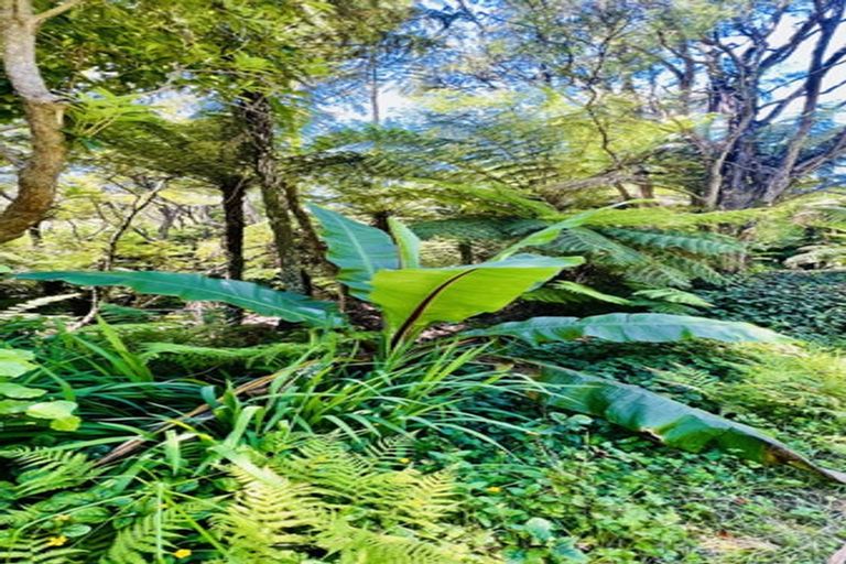 Photo of property in 877 Tiki Quarry Road, Preece Point, Coromandel, 3581