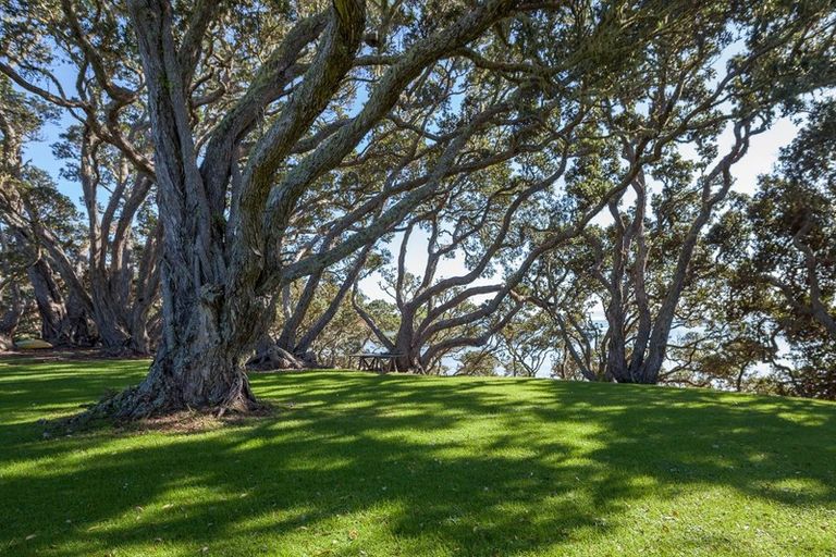 Photo of property in 56 Bayside Drive, Coopers Beach, 0420