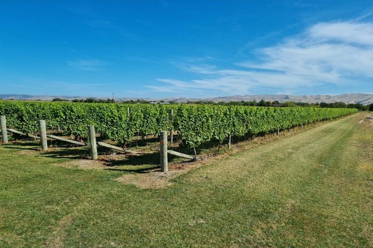 Photo of property in 344 Jones Road, Grovetown, Blenheim, 7273