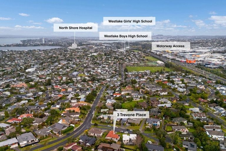 Photo of property in 3 Trevone Place, Forrest Hill, Auckland, 0620