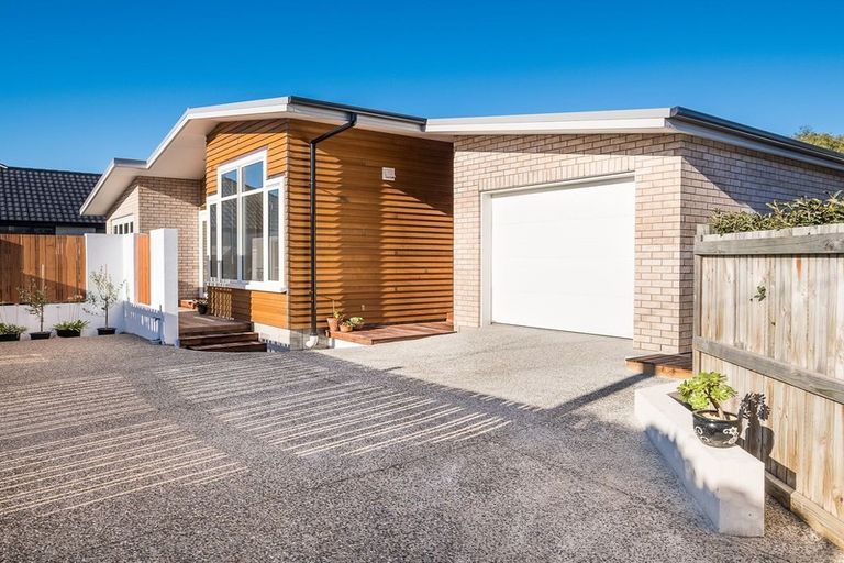 Photo of property in 7 West Avenue, Saint Clair, Dunedin, 9012