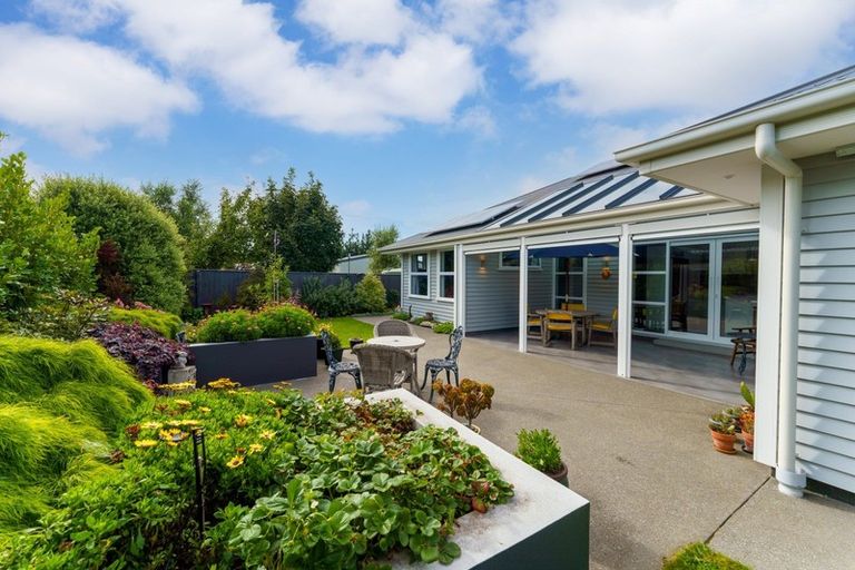 Photo of property in 22 Wineberry Avenue, Amberley, 7410