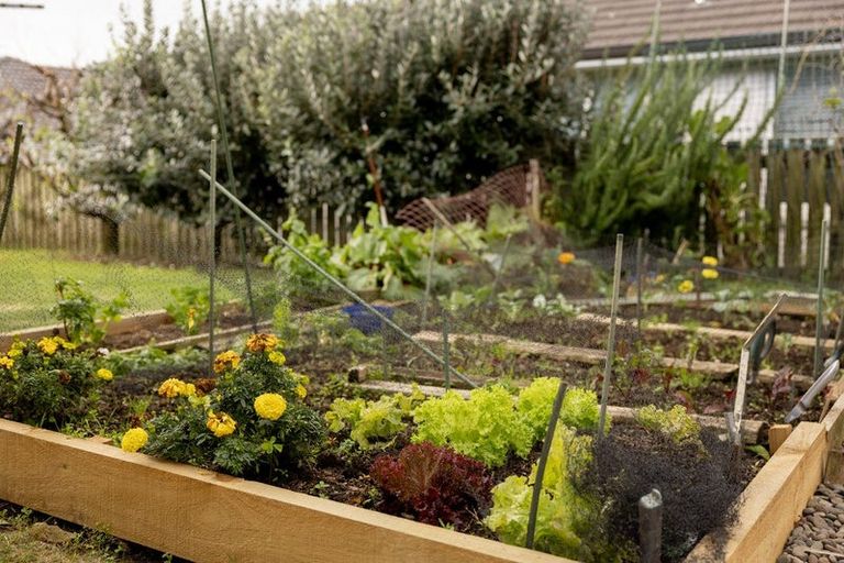 Photo of property in 9 Parkland Rise, Omokoroa, 3114