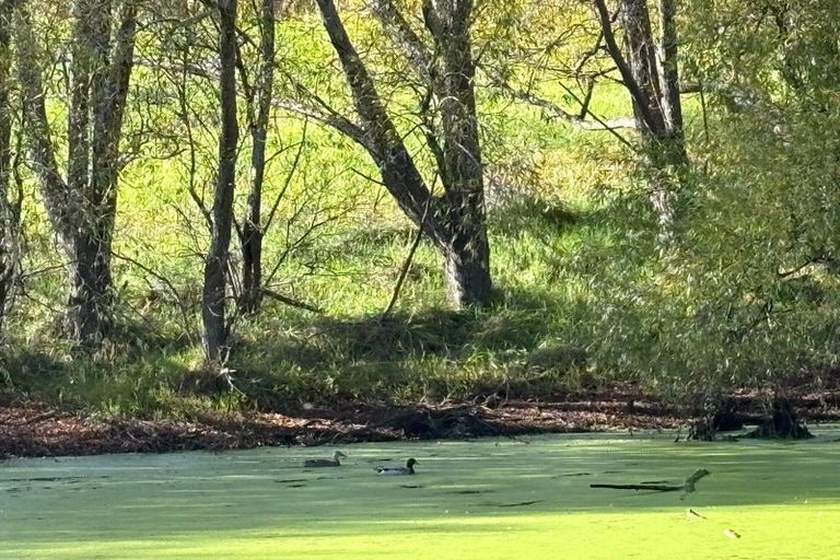 Photo of property in 228 Petley Road, Paparoa, 0571